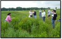Does soil moisture affect plant performance?