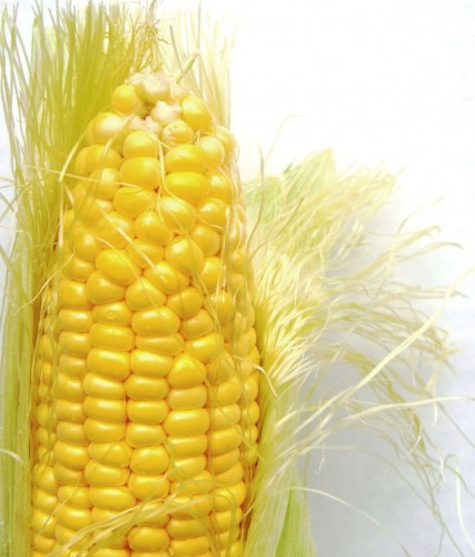 Corn_on_the_cob